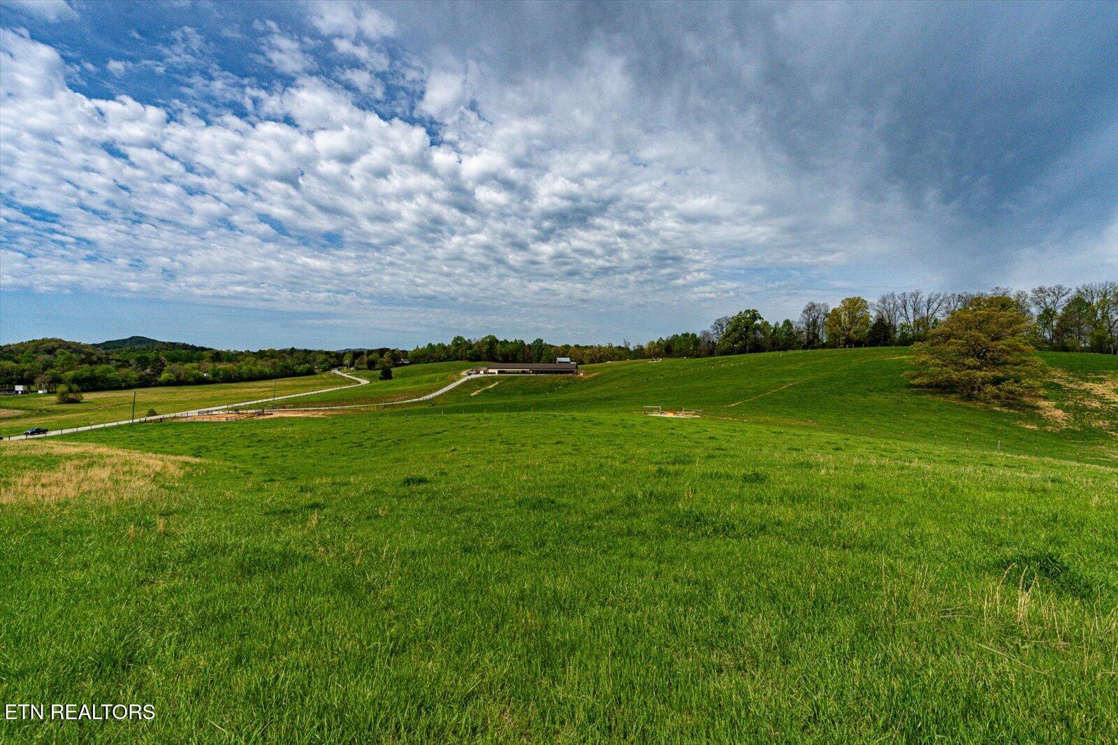 180 Mecca Pike Tellico Plains TN 37385