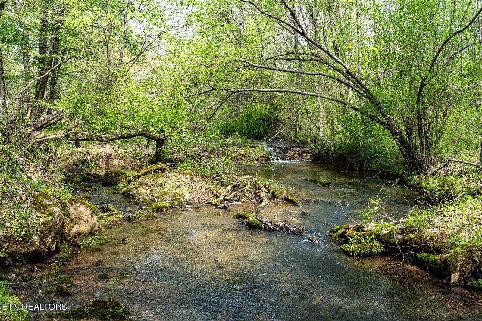 180 Mecca Pike Tellico Plains TN 37385
