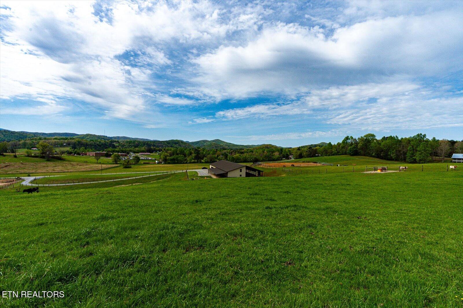 180 Mecca Pike Tellico Plains TN 37385
