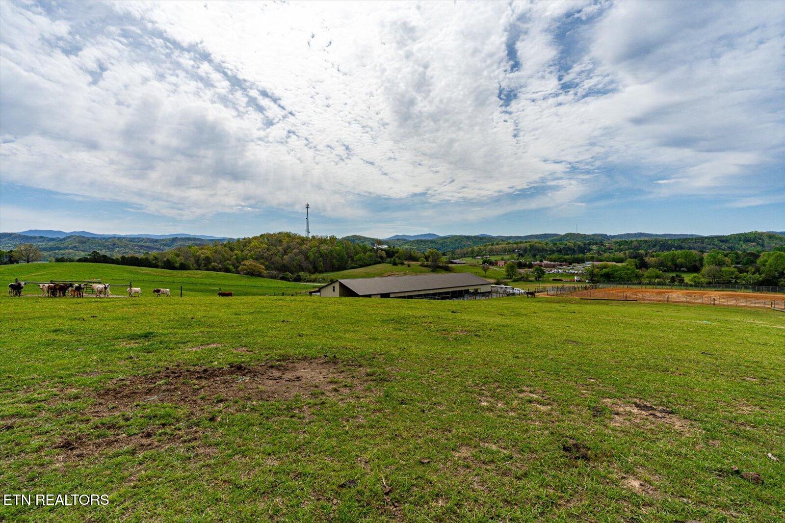 180 Mecca Pike Tellico Plains TN 37385
