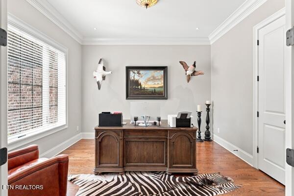 519 Broome Road Knoxville TN 37909