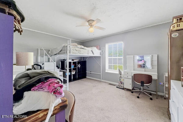 616 Hollow Drive Strawberry Plains TN 37871
