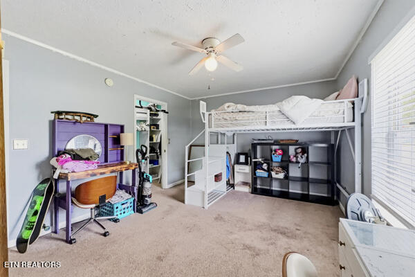 616 Hollow Drive Strawberry Plains TN 37871