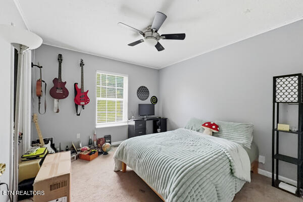 616 Hollow Drive Strawberry Plains TN 37871
