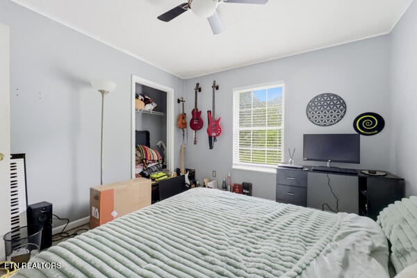 616 Hollow Drive Strawberry Plains TN 37871