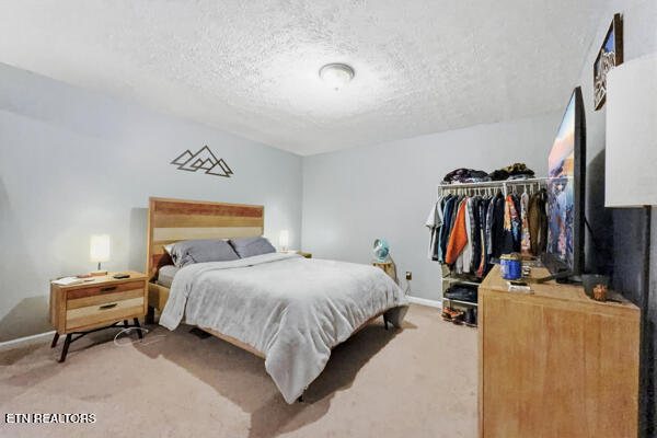 616 Hollow Drive Strawberry Plains TN 37871