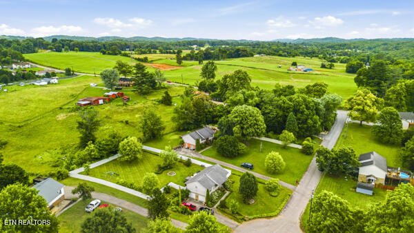 616 Hollow Drive Strawberry Plains TN 37871