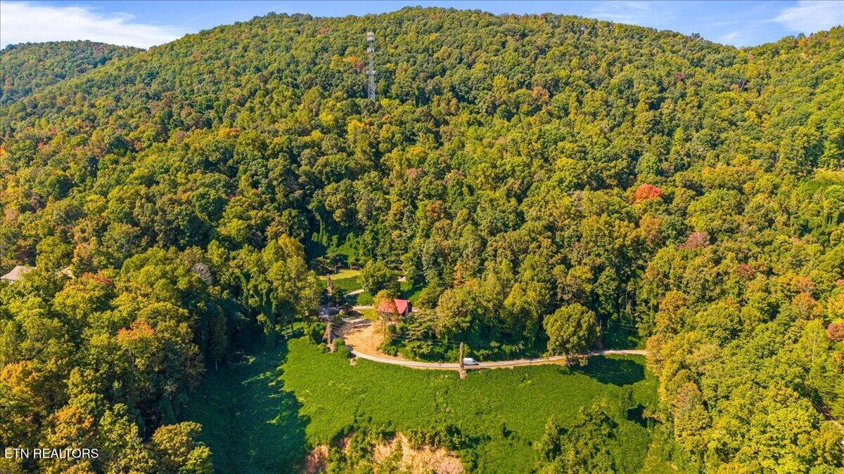 342 Big Springs Lane Jacksboro TN 37757