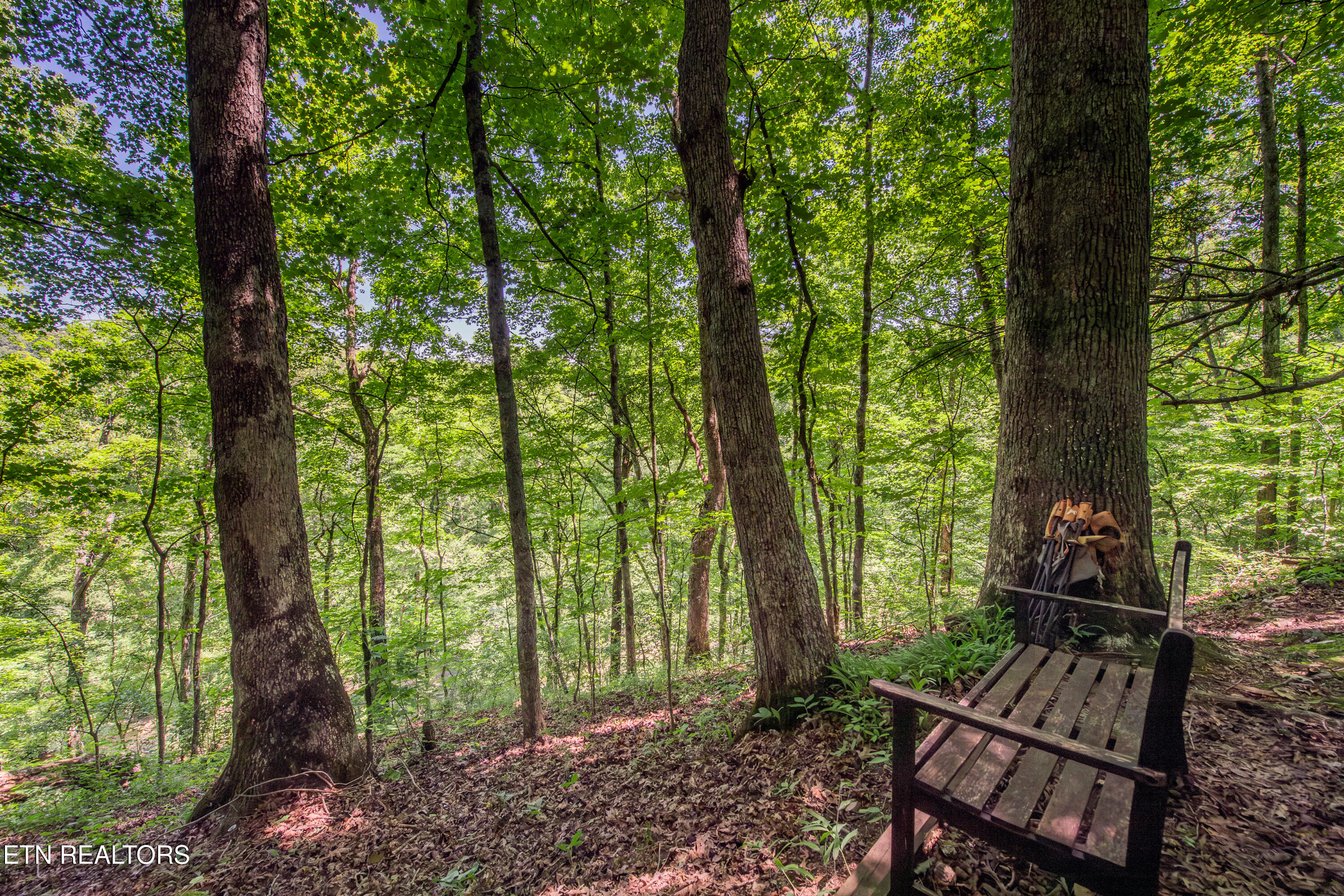 3000 Millstream Lane Knoxville TN 37931