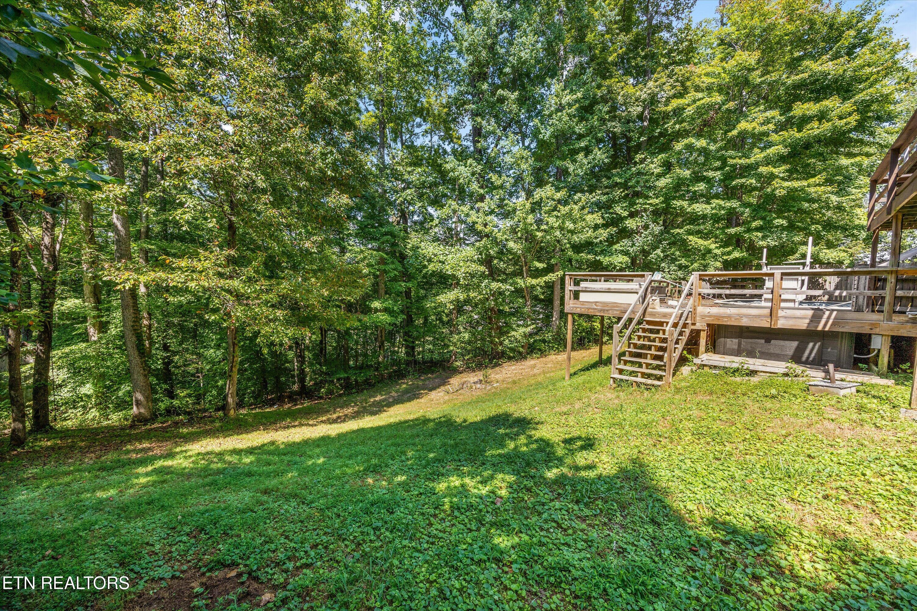 243 Mountain Lake Drive Rocky Top TN 37769