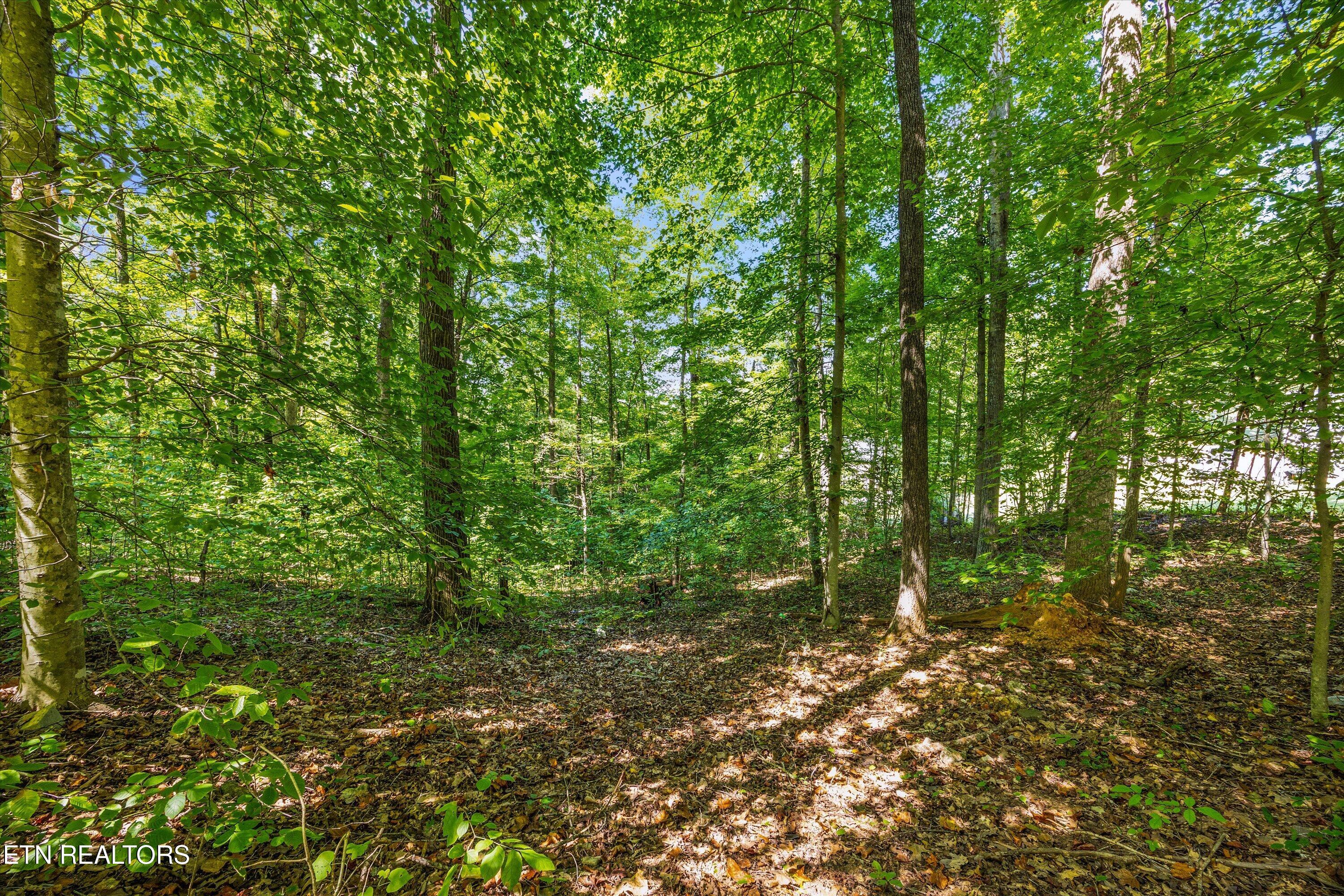 243 Mountain Lake Drive Rocky Top TN 37769