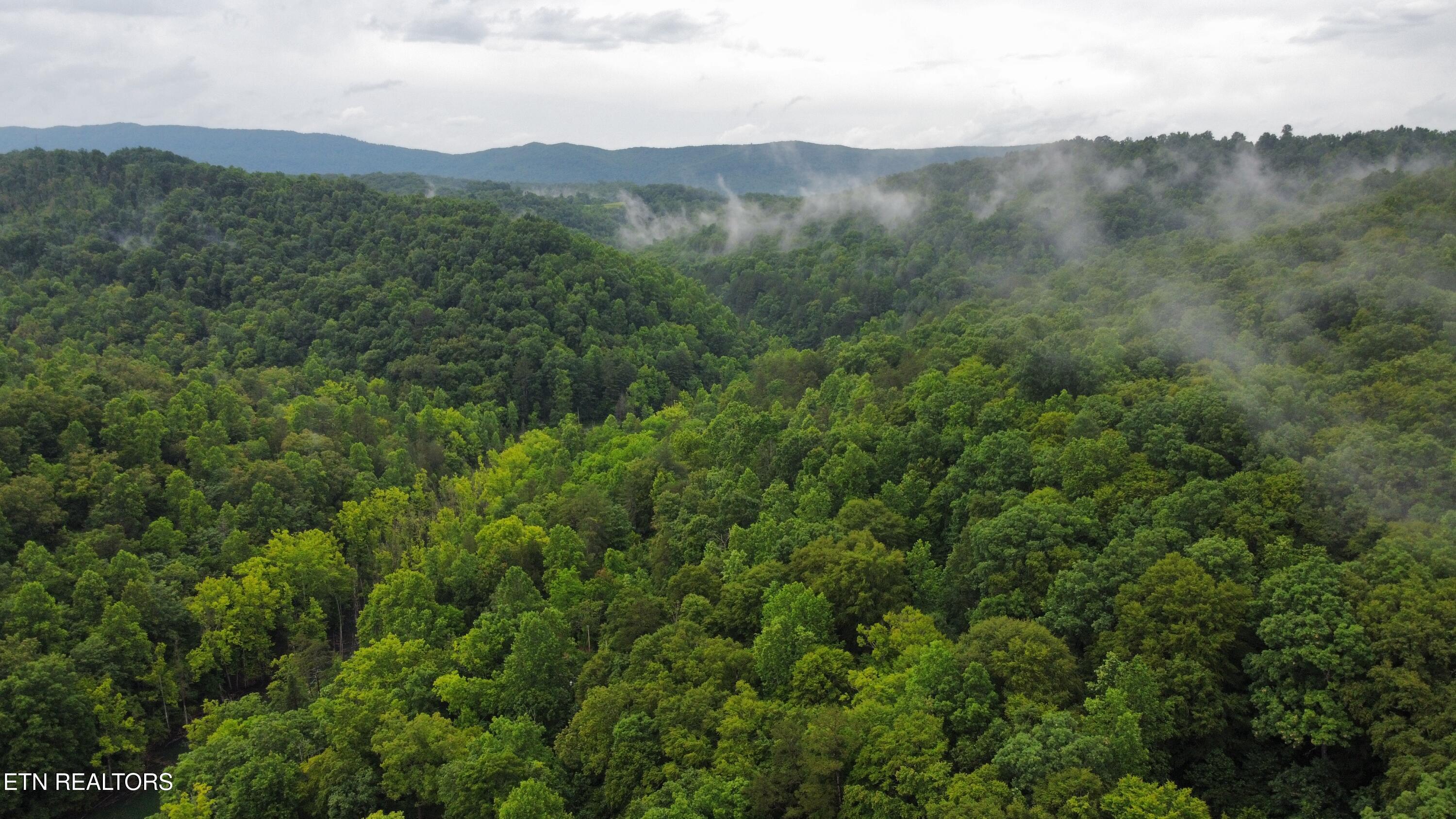 487 Straight Branch Road Speedwell TN 37870