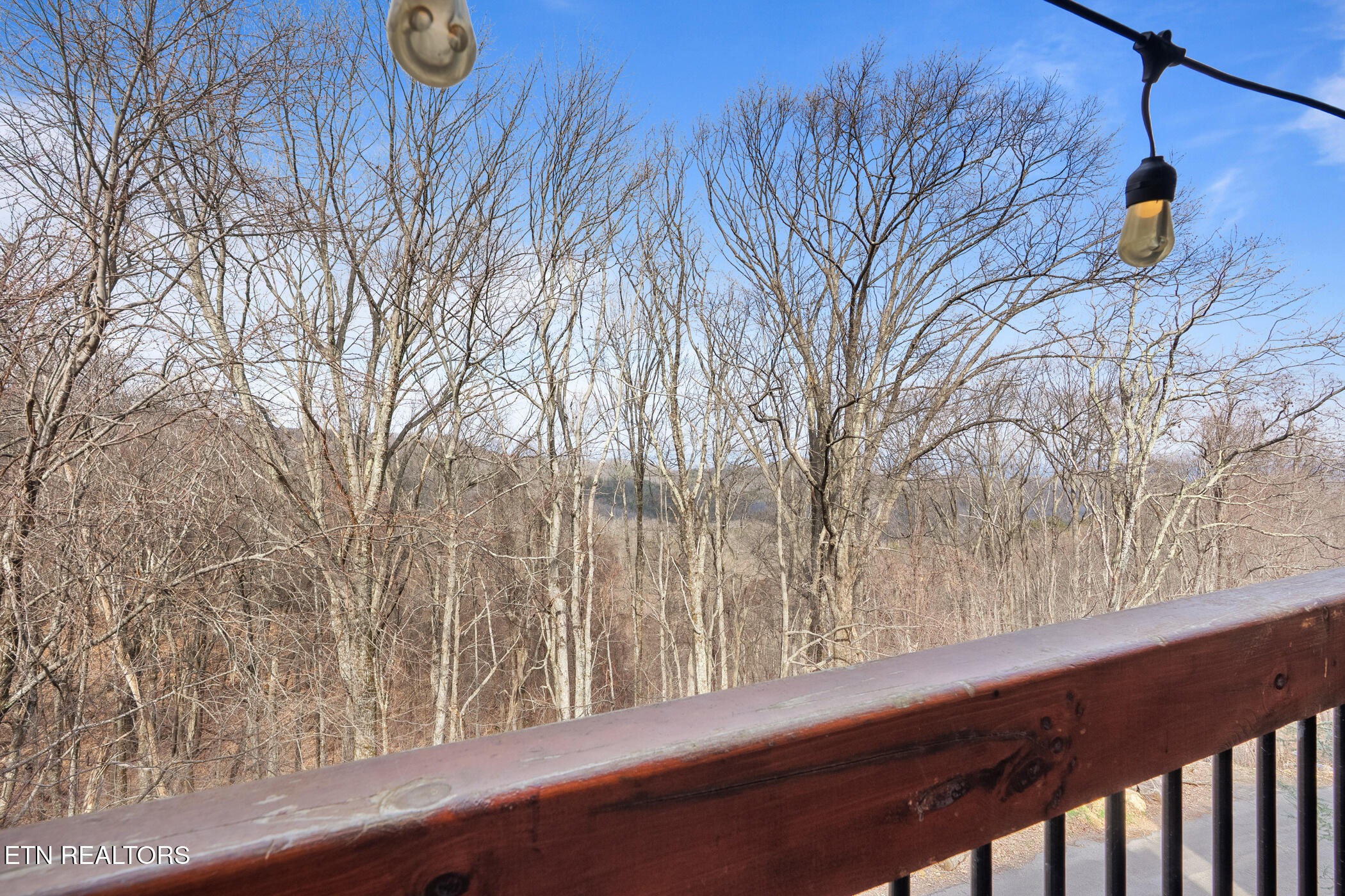 1255 Bear Cub Way Gatlinburg TN 37738