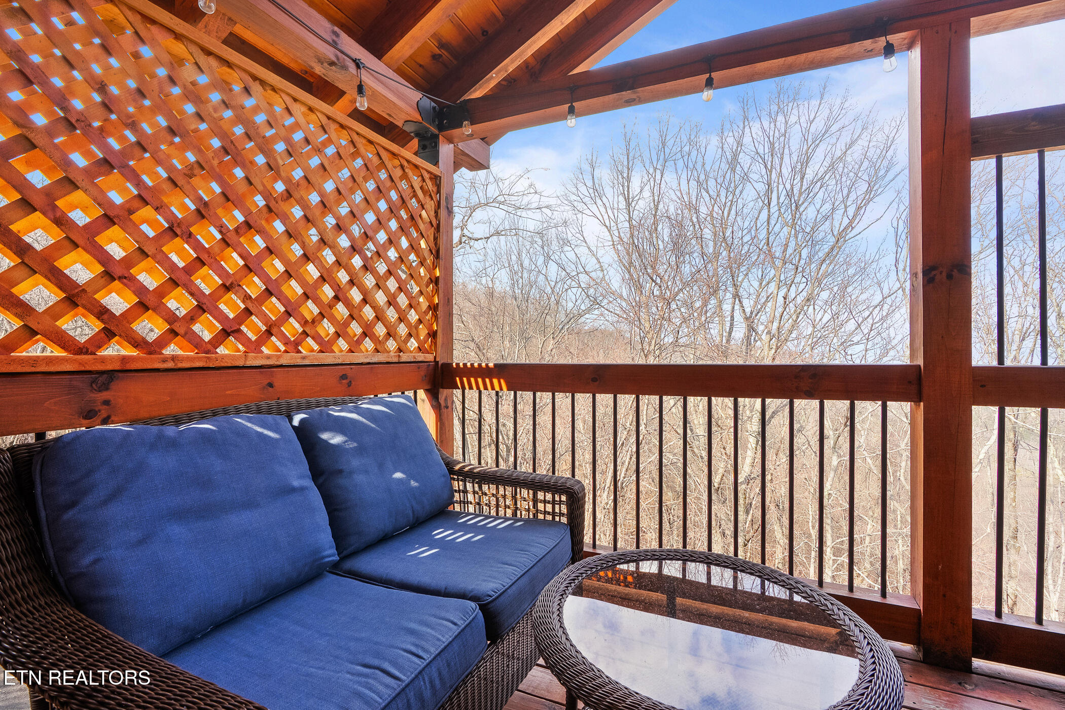 1255 Bear Cub Way Gatlinburg TN 37738