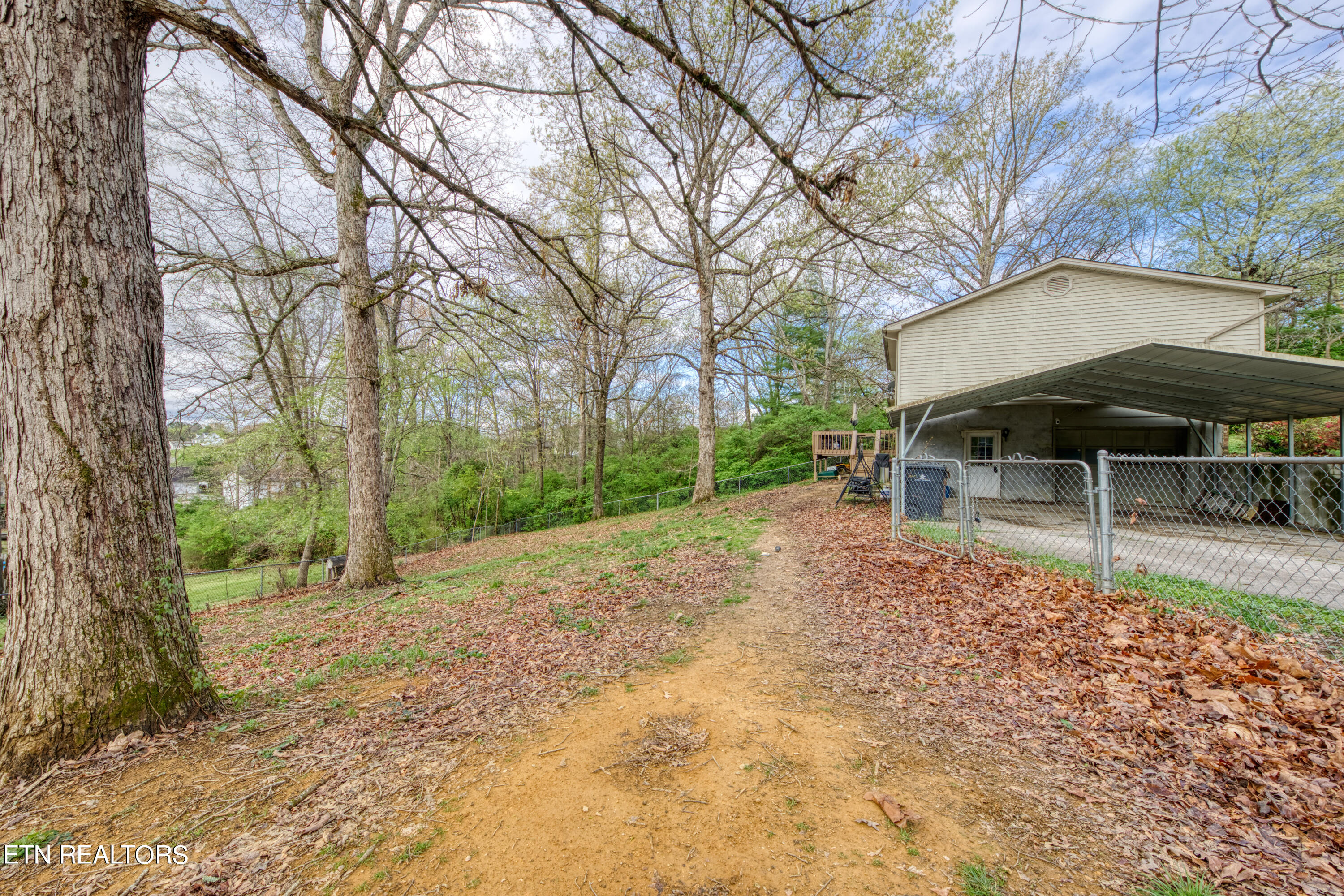 2333 Black Bear Road Knoxville TN 37923