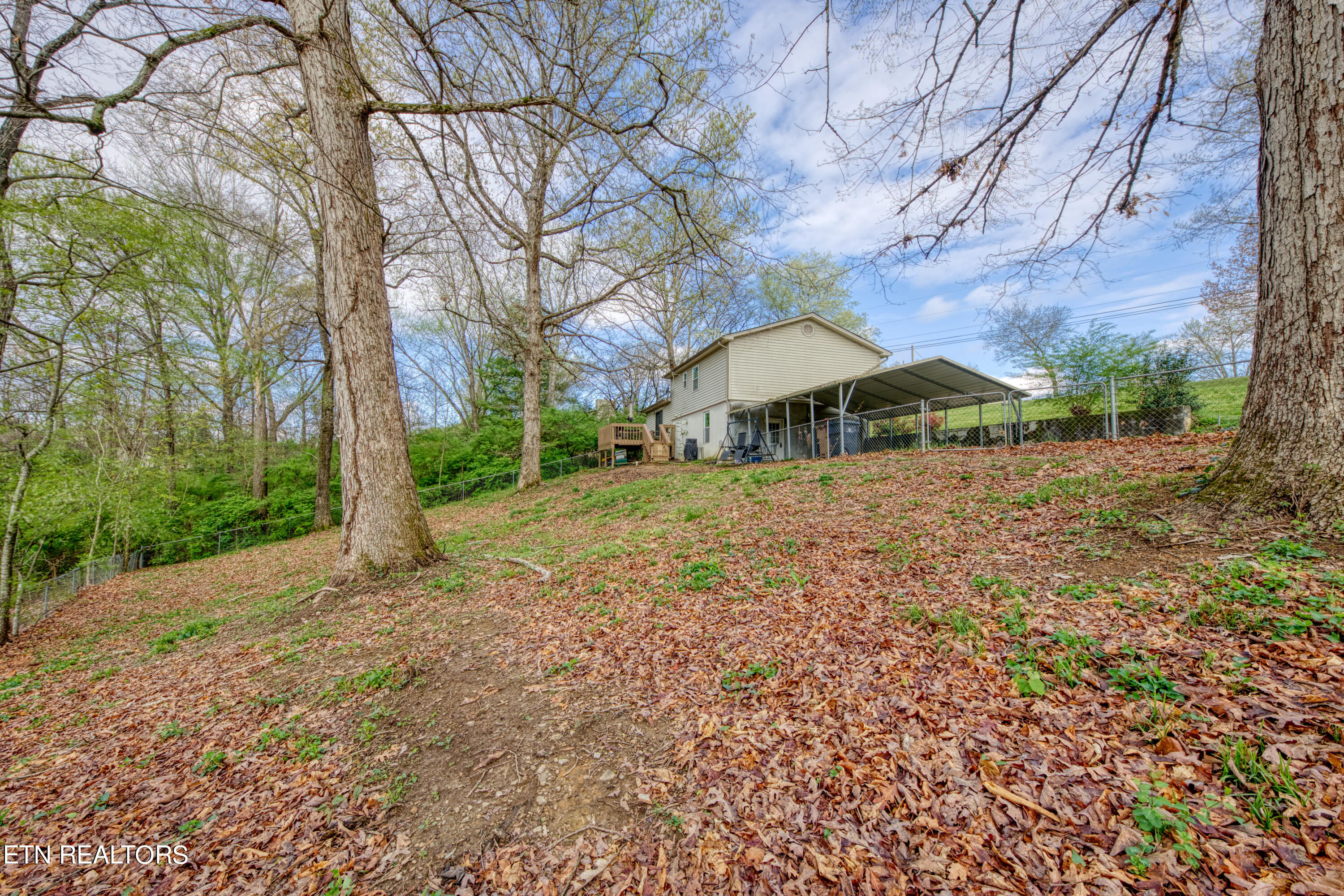 2333 Black Bear Road Knoxville TN 37923
