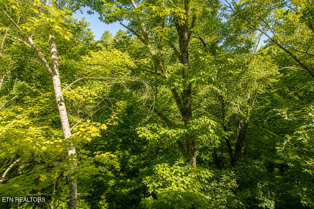 1308 N Oak Court Sevierville TN 37876