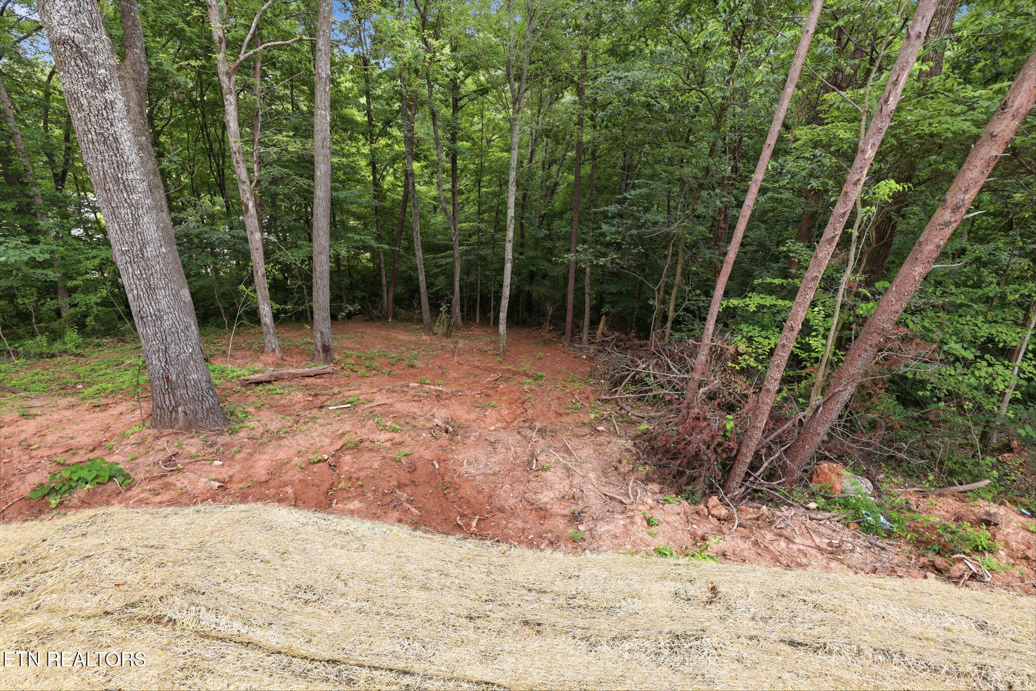 6504 Milroy Lane Knoxville TN 37918