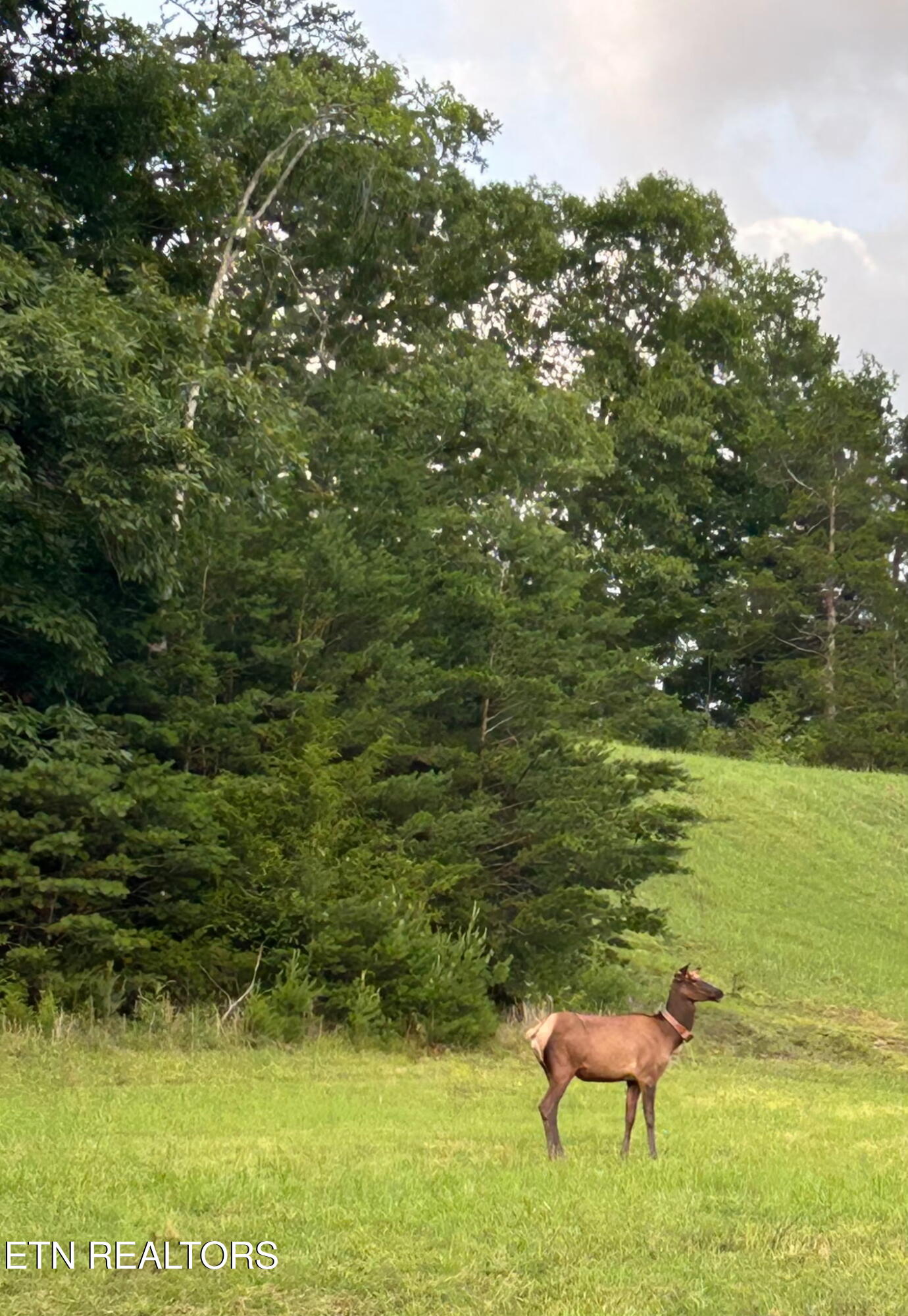 634 Old Cedar Creek Road Townsend TN 37882
