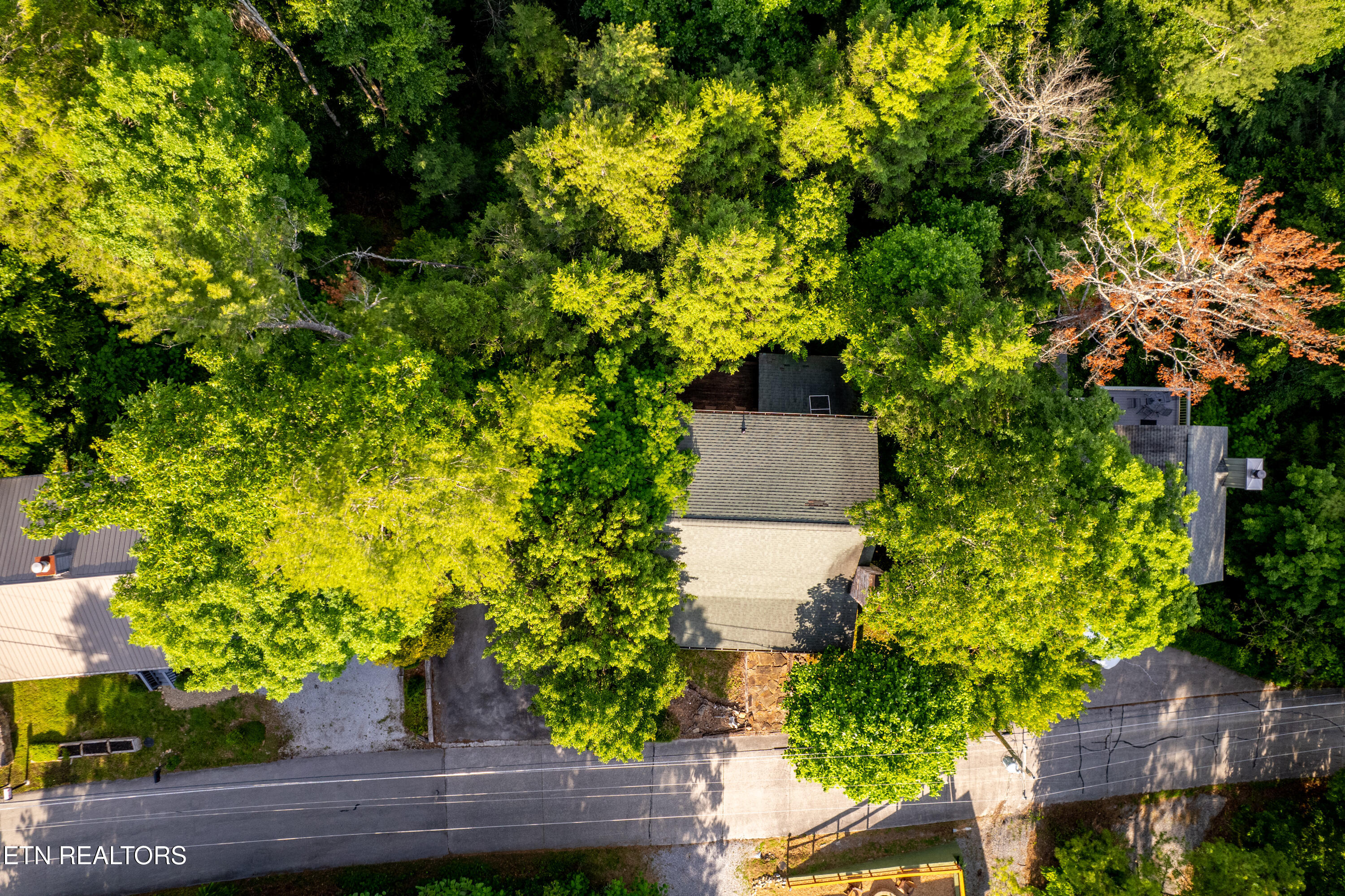 124 Cutter Gap Road Townsend TN 37882
