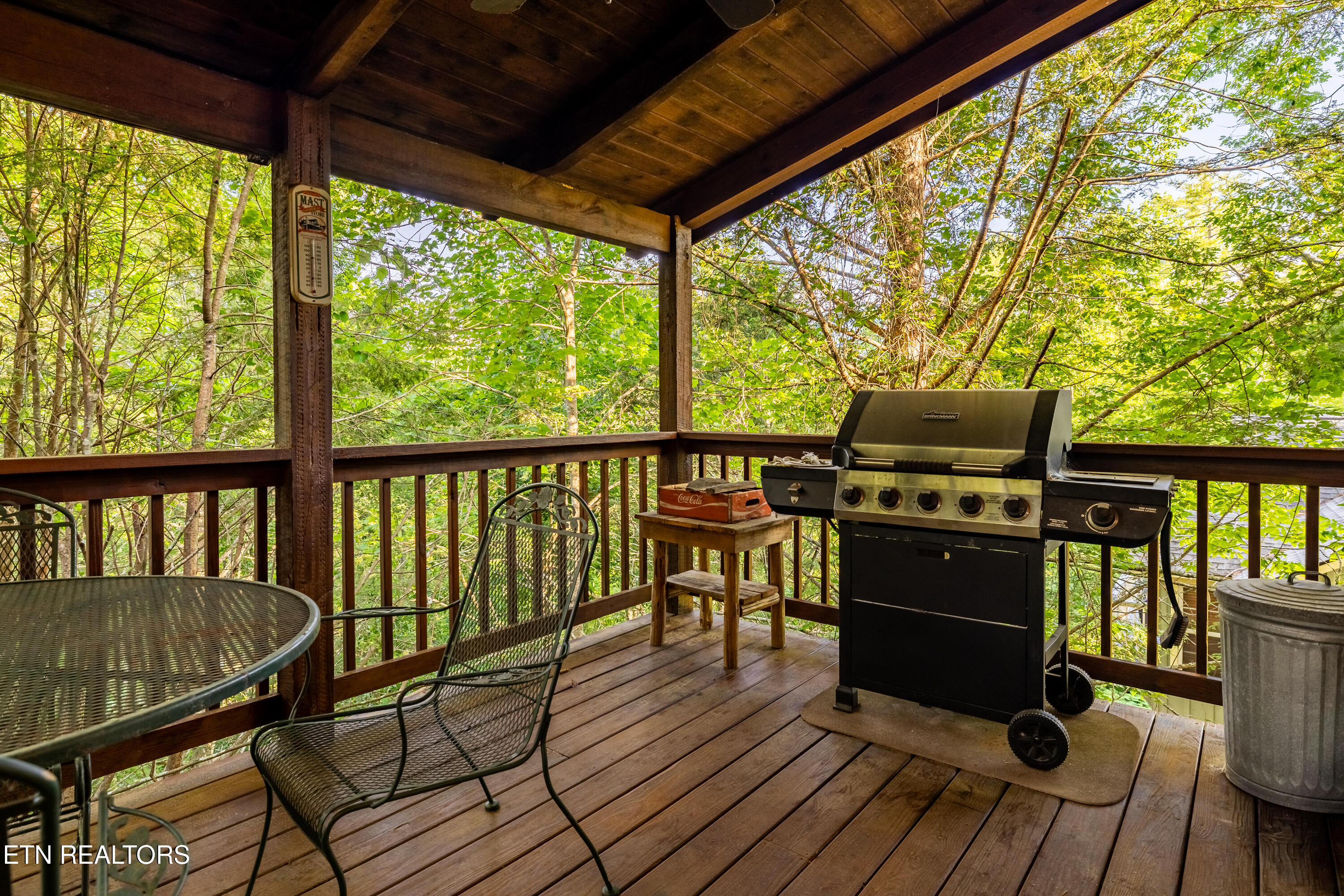 124 Cutter Gap Road Townsend TN 37882
