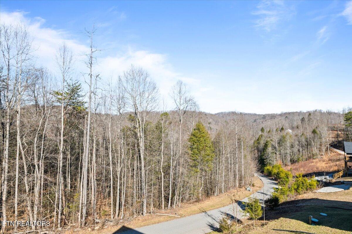 113 Pool Drive Lafollette TN 37766