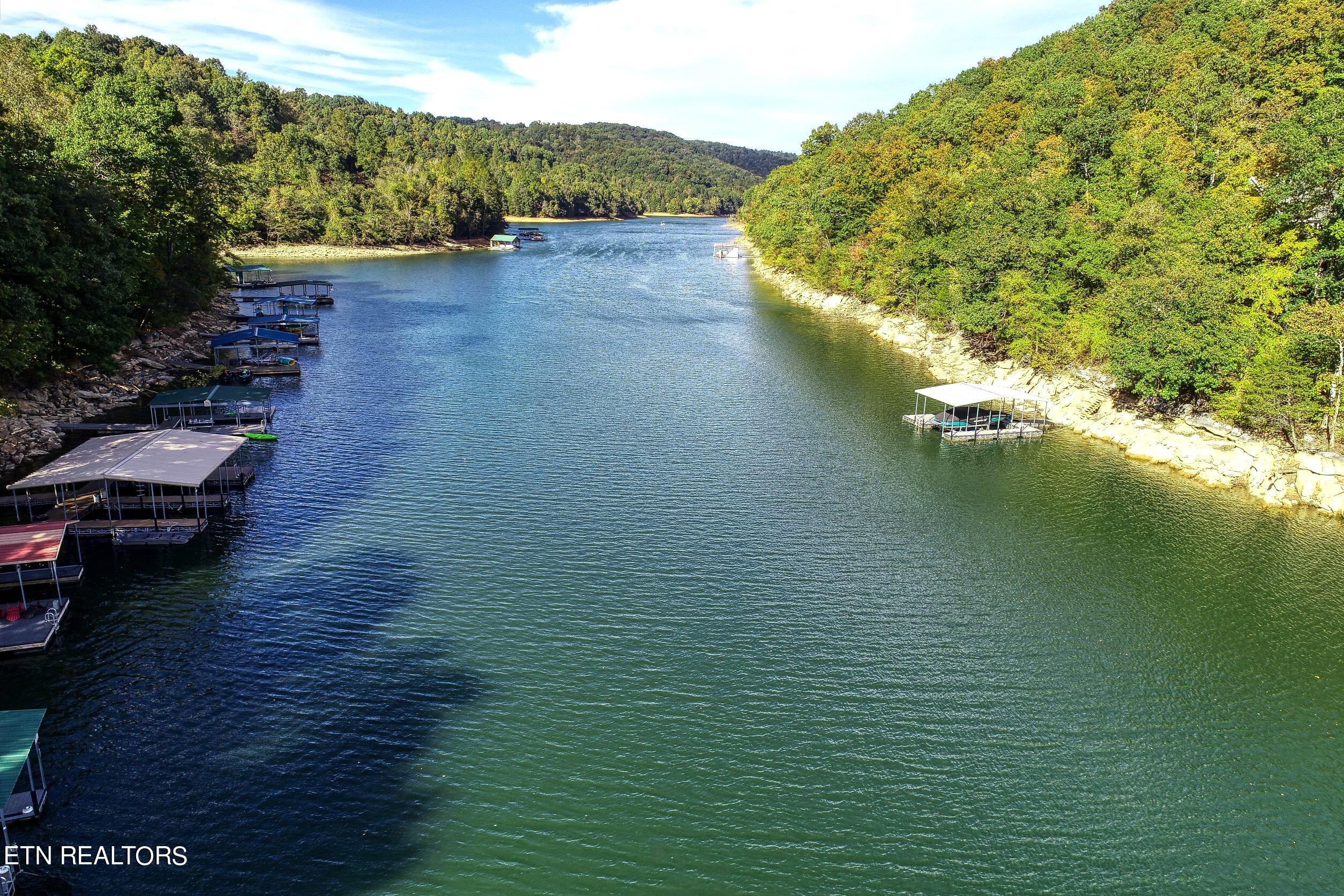 123 Flat Lake Circle Speedwell TN 37870