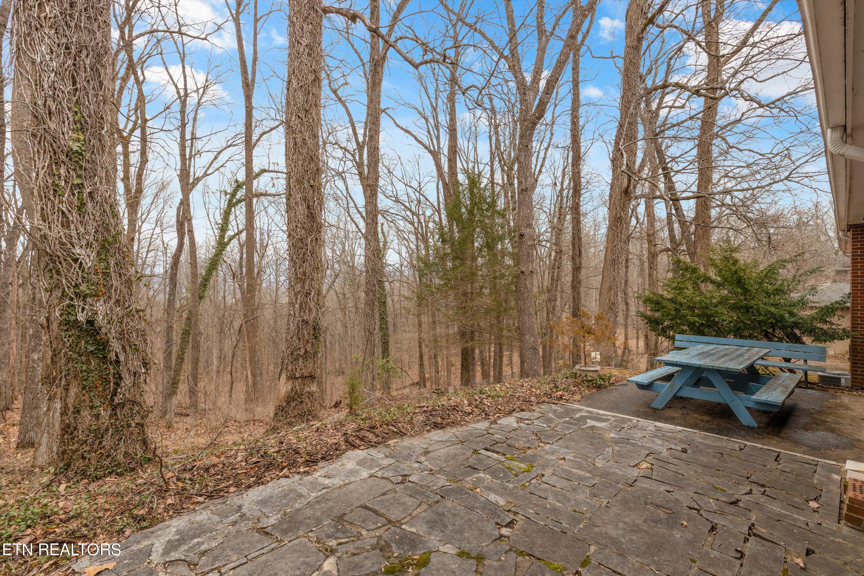 790 W Outer Drive Oak Ridge TN 37830