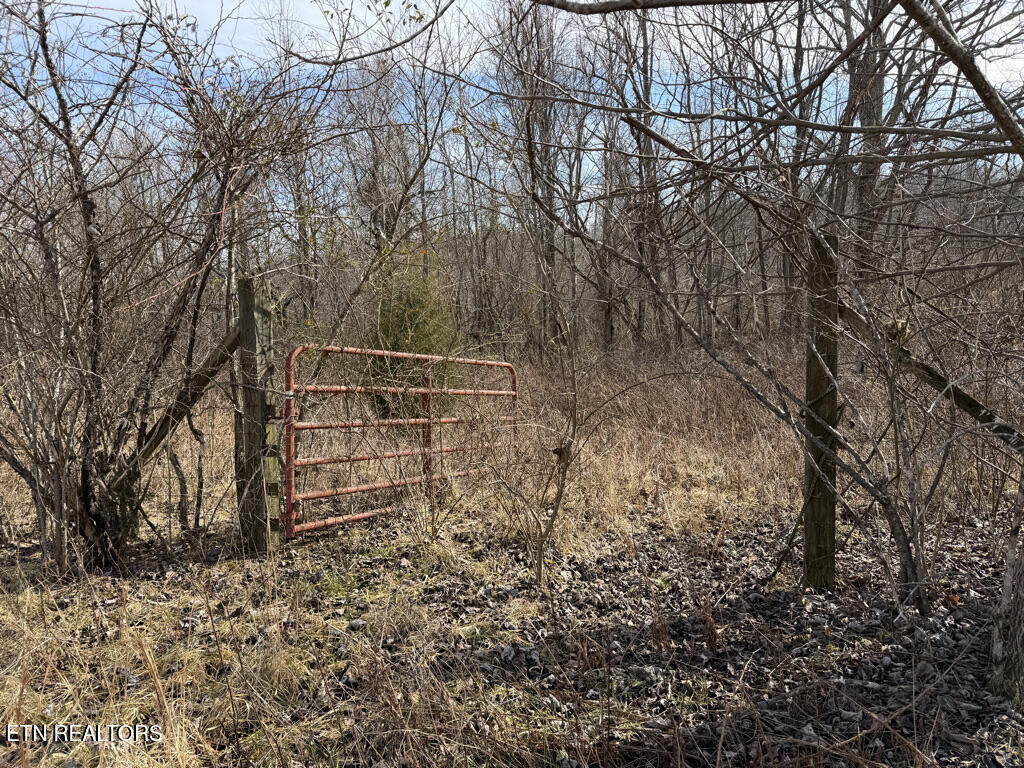 156 Martin Burgess Road Crossville TN 38572