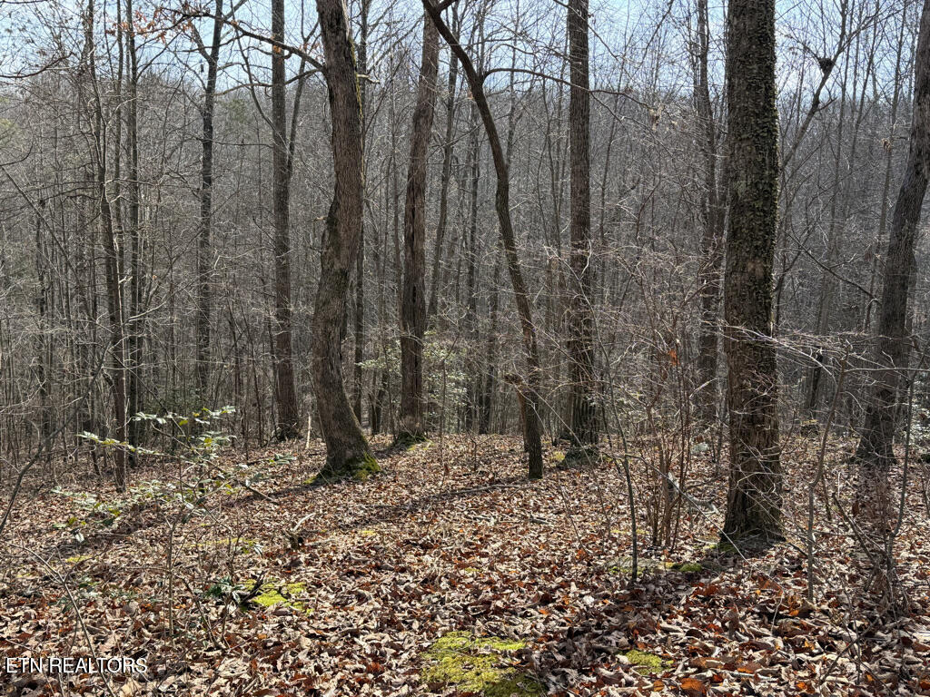156 Martin Burgess Road Crossville TN 38572