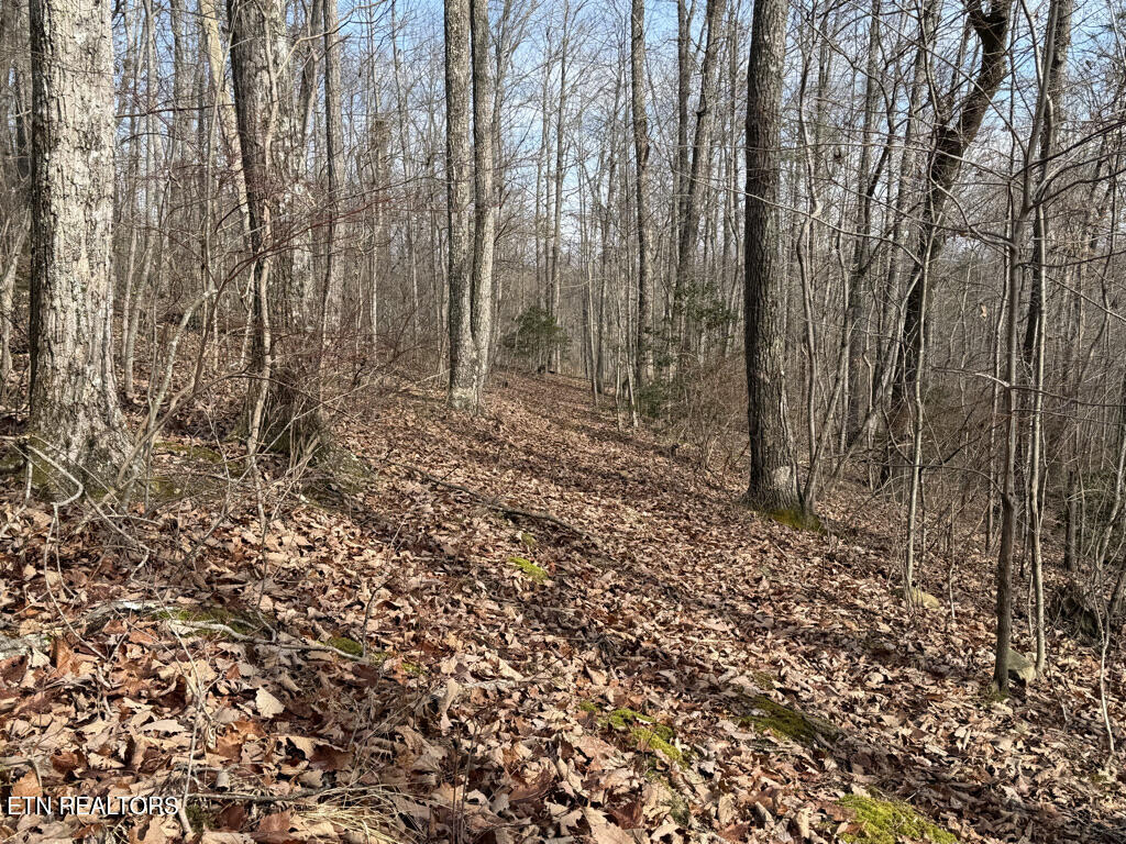 156 Martin Burgess Road Crossville TN 38572