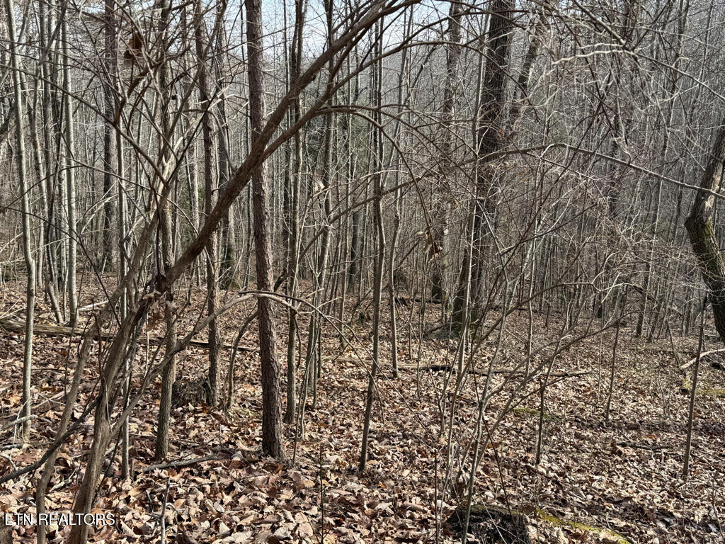 156 Martin Burgess Road Crossville TN 38572