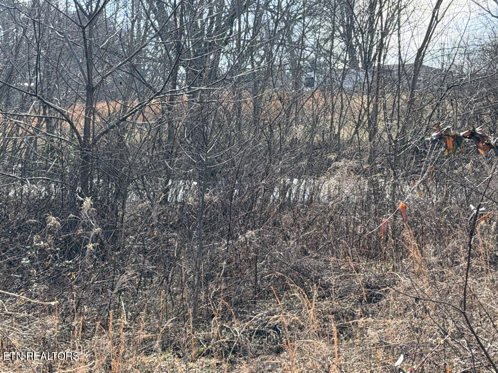 156 Martin Burgess Road Crossville TN 38572