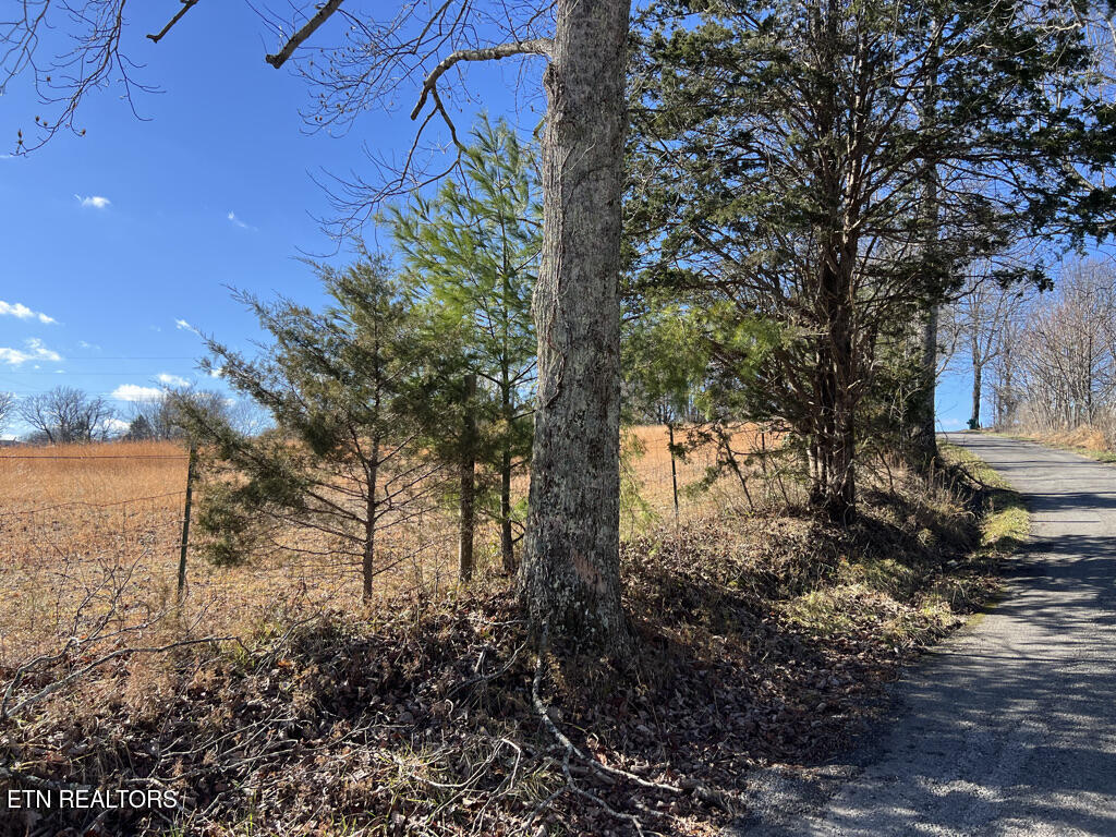 156 Martin Burgess Road Crossville TN 38572