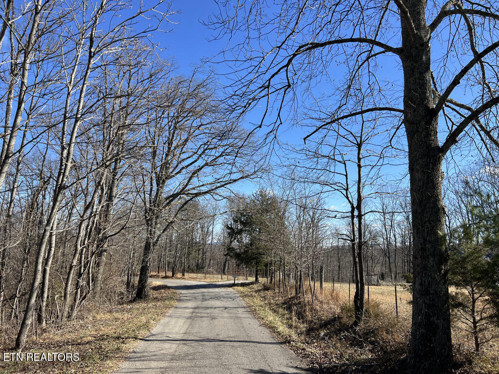 156 Martin Burgess Road Crossville TN 38572