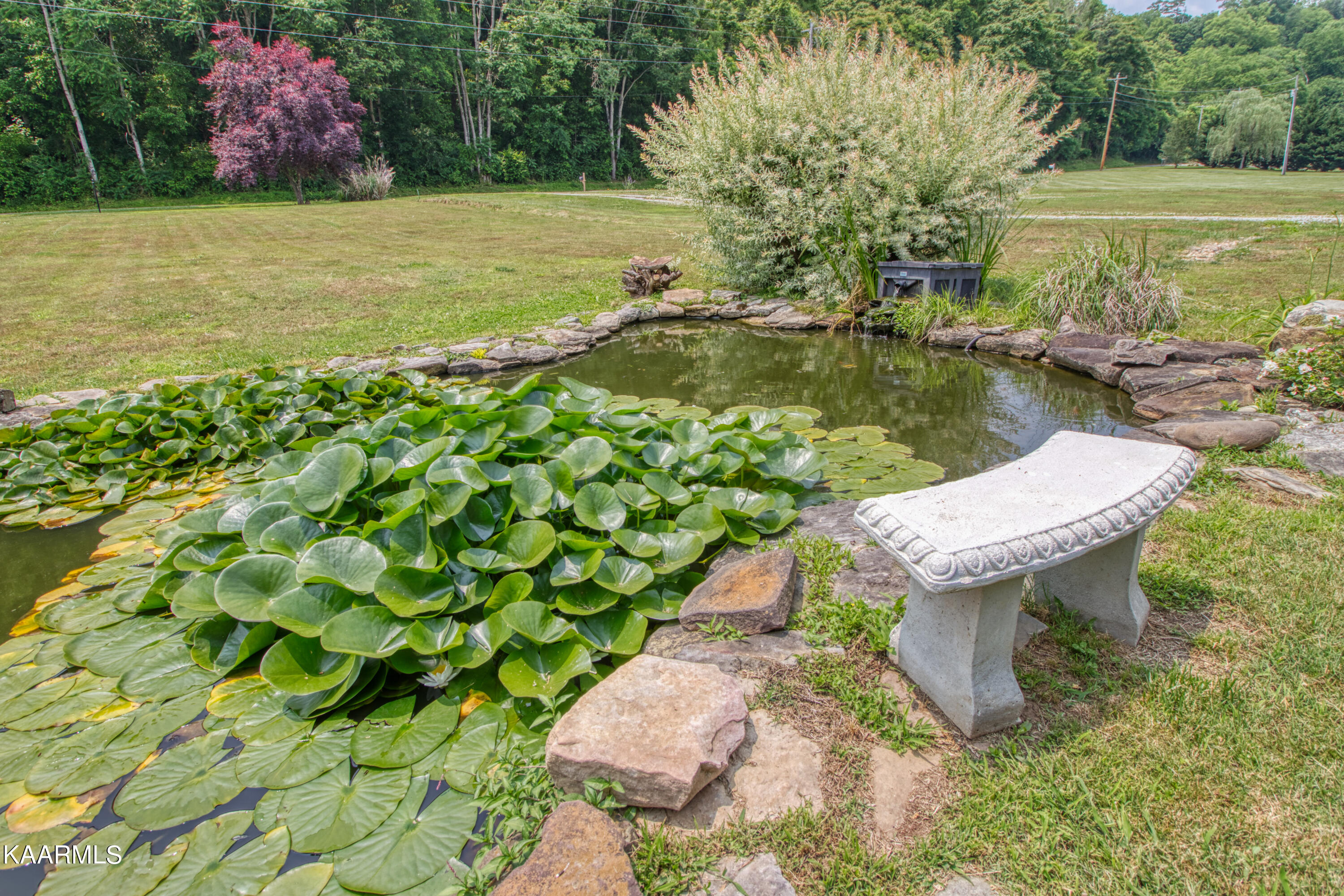 2926 Holston Shores Drive Rutledge TN 37861