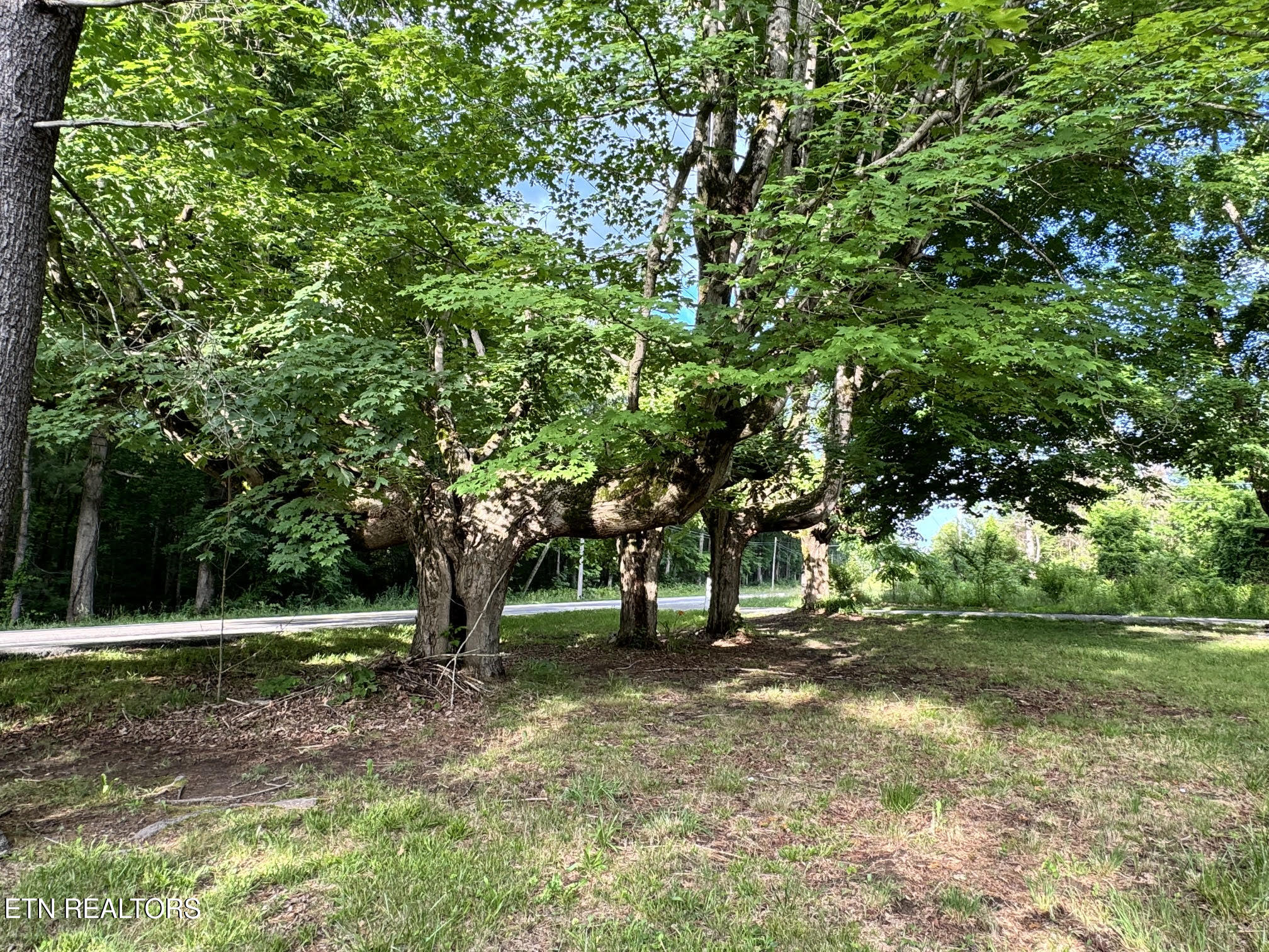 2506 Rugby Pike Jamestown TN 38556