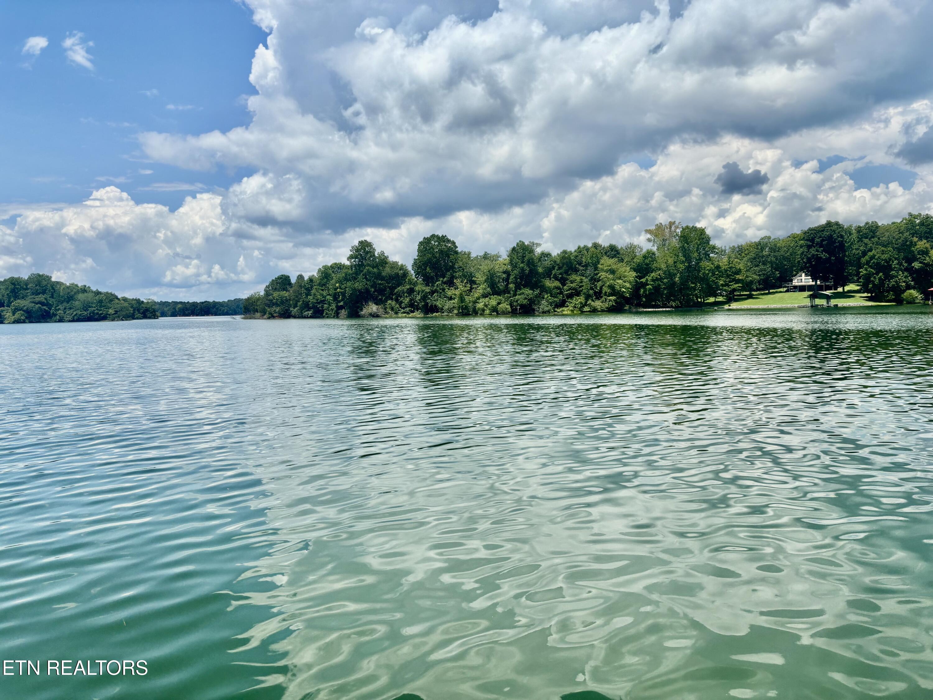 212 Overlook Drive Ten Mile TN 37880