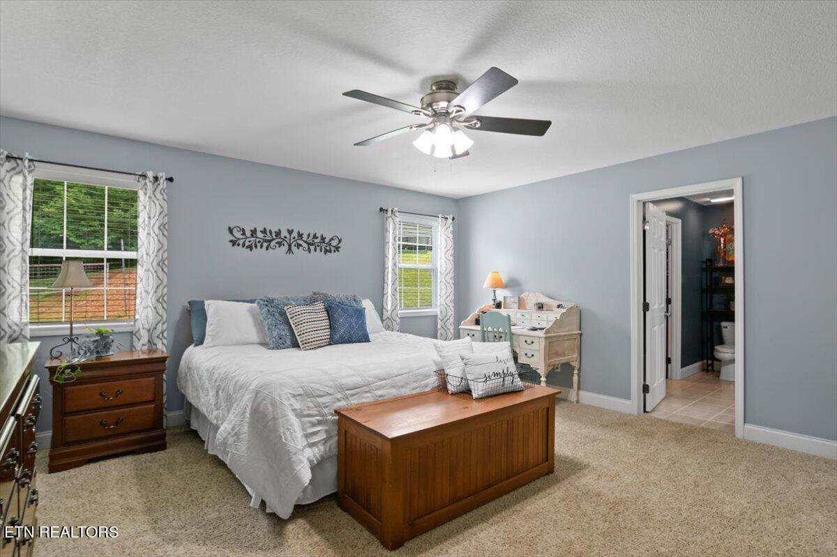 667 Pine Hollow Road Jacksboro TN 37757