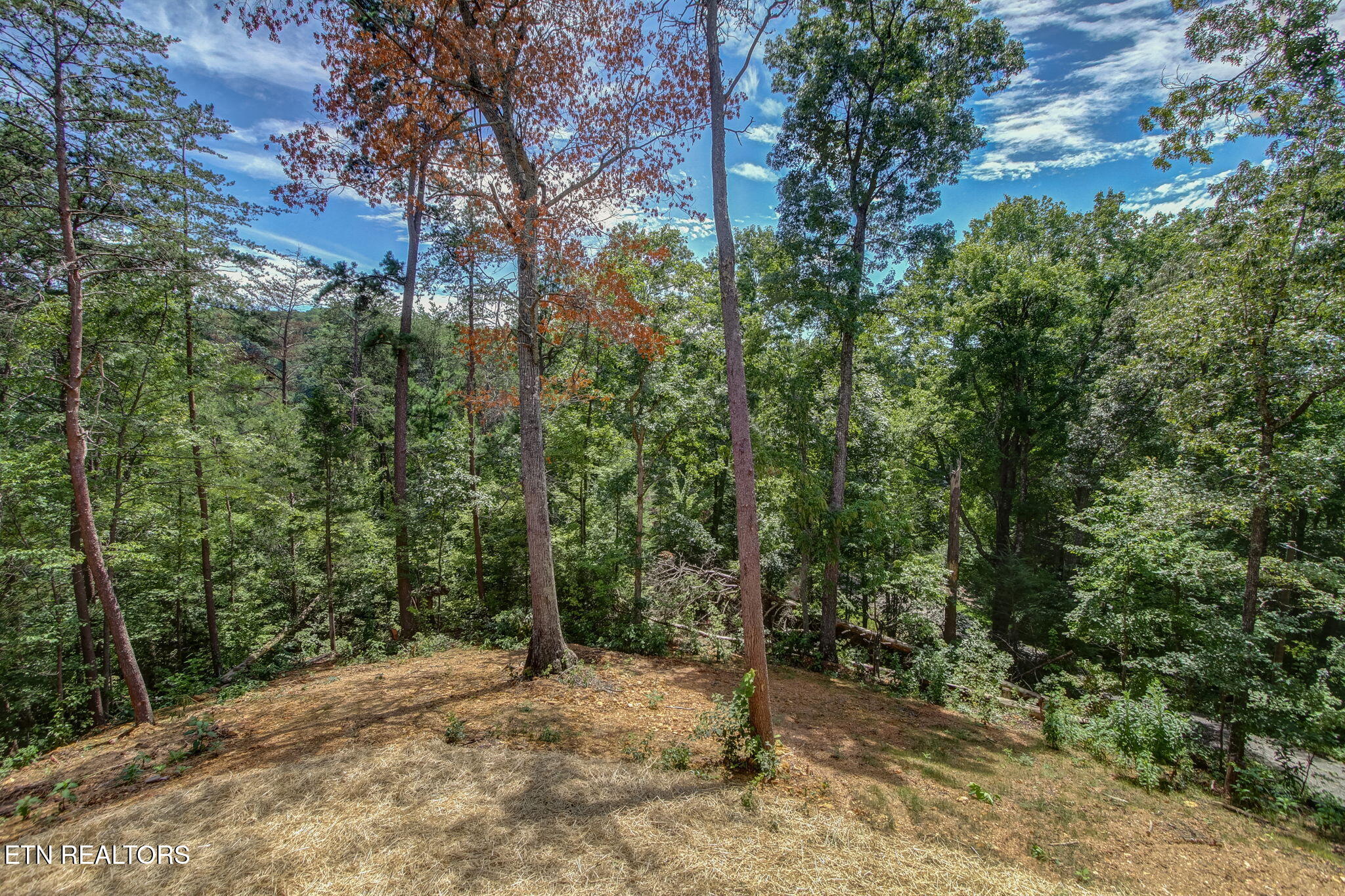 1756 Stinnett Road Sevierville TN 37876