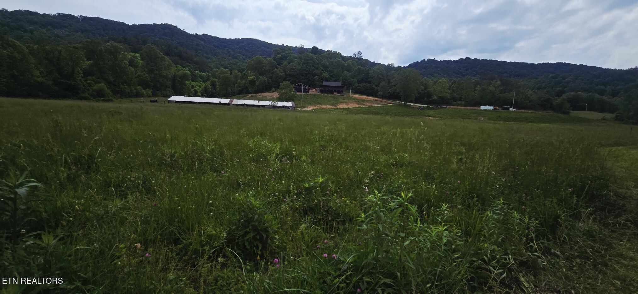 1095 Stanley Creek Road Oneida TN 37841