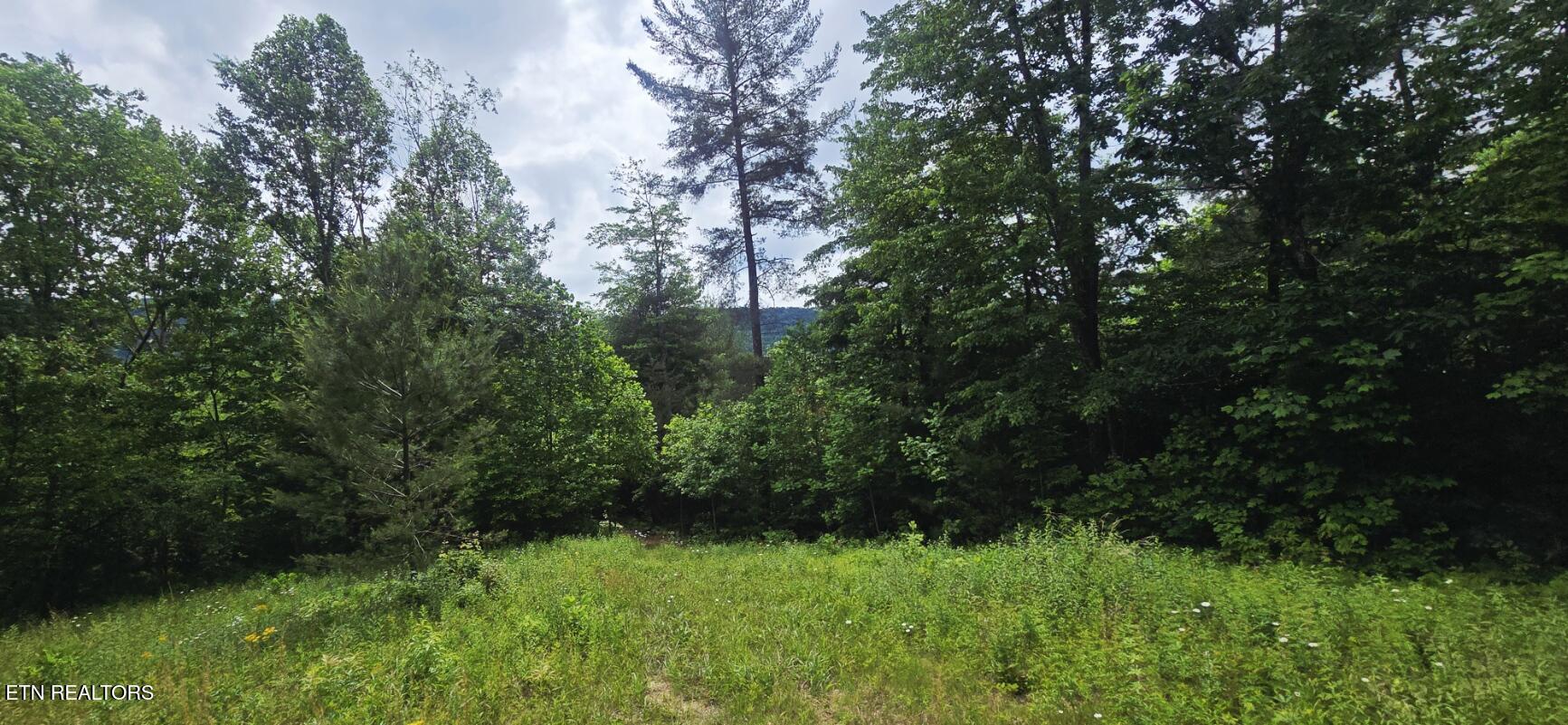1095 Stanley Creek Road Oneida TN 37841