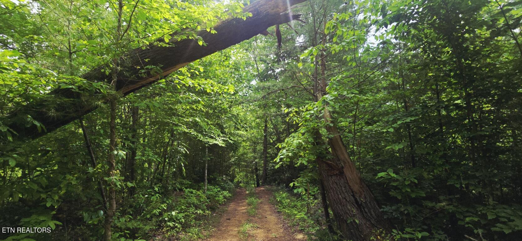 1095 Stanley Creek Road Oneida TN 37841