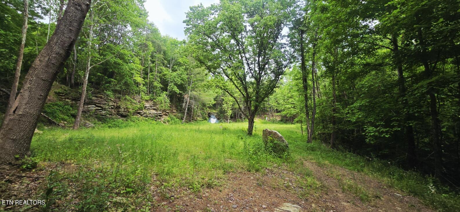 1095 Stanley Creek Road Oneida TN 37841