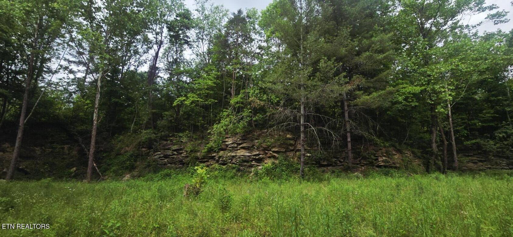 1095 Stanley Creek Road Oneida TN 37841