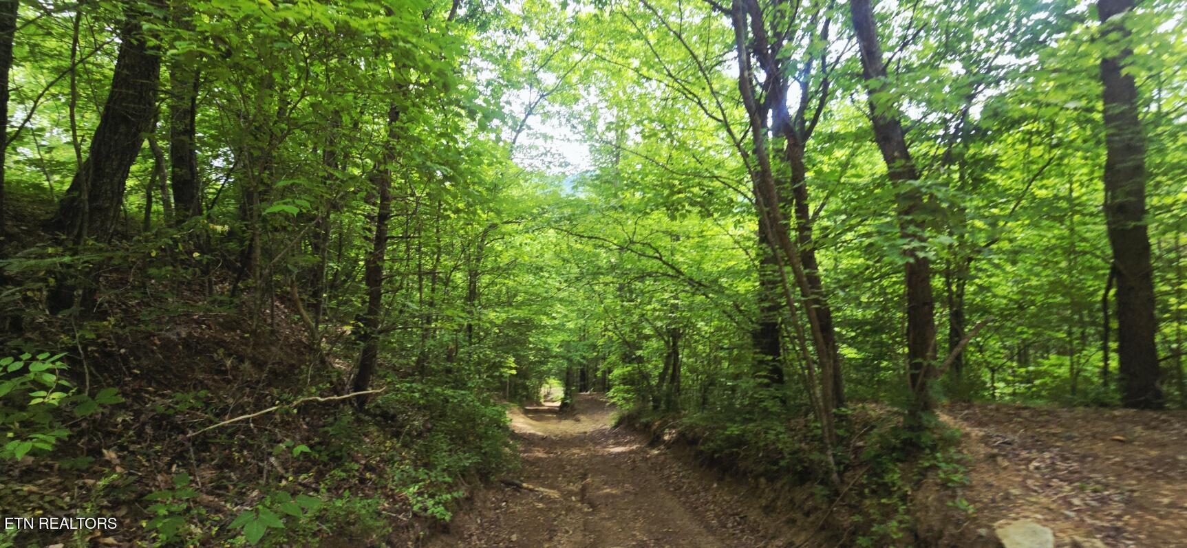 1095 Stanley Creek Road Oneida TN 37841