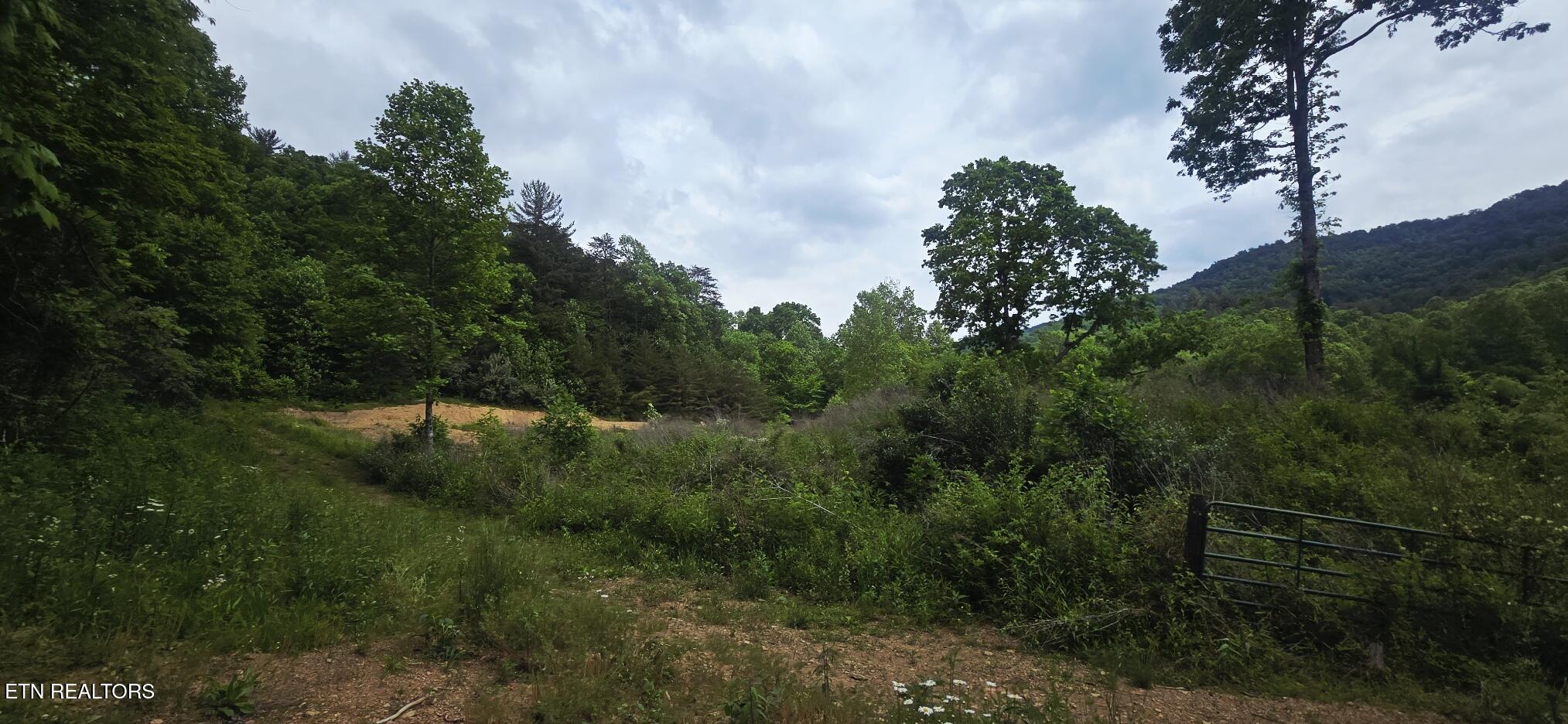 1095 Stanley Creek Road Oneida TN 37841