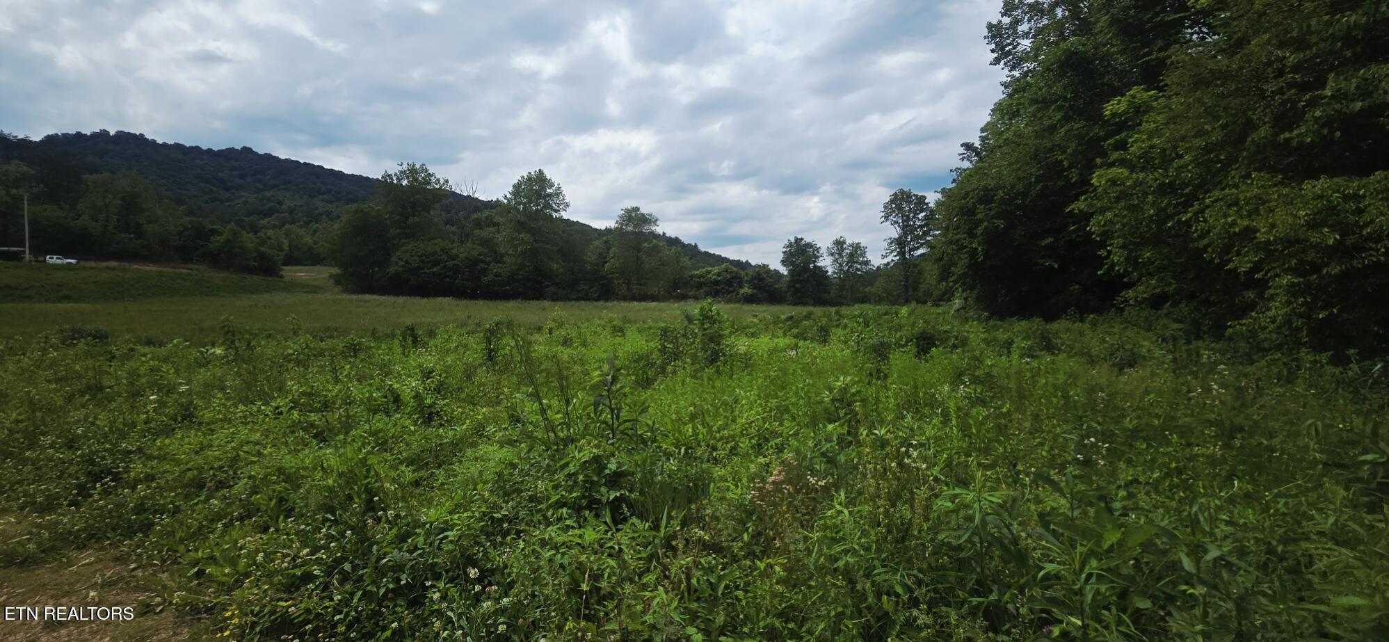 1095 Stanley Creek Road Oneida TN 37841
