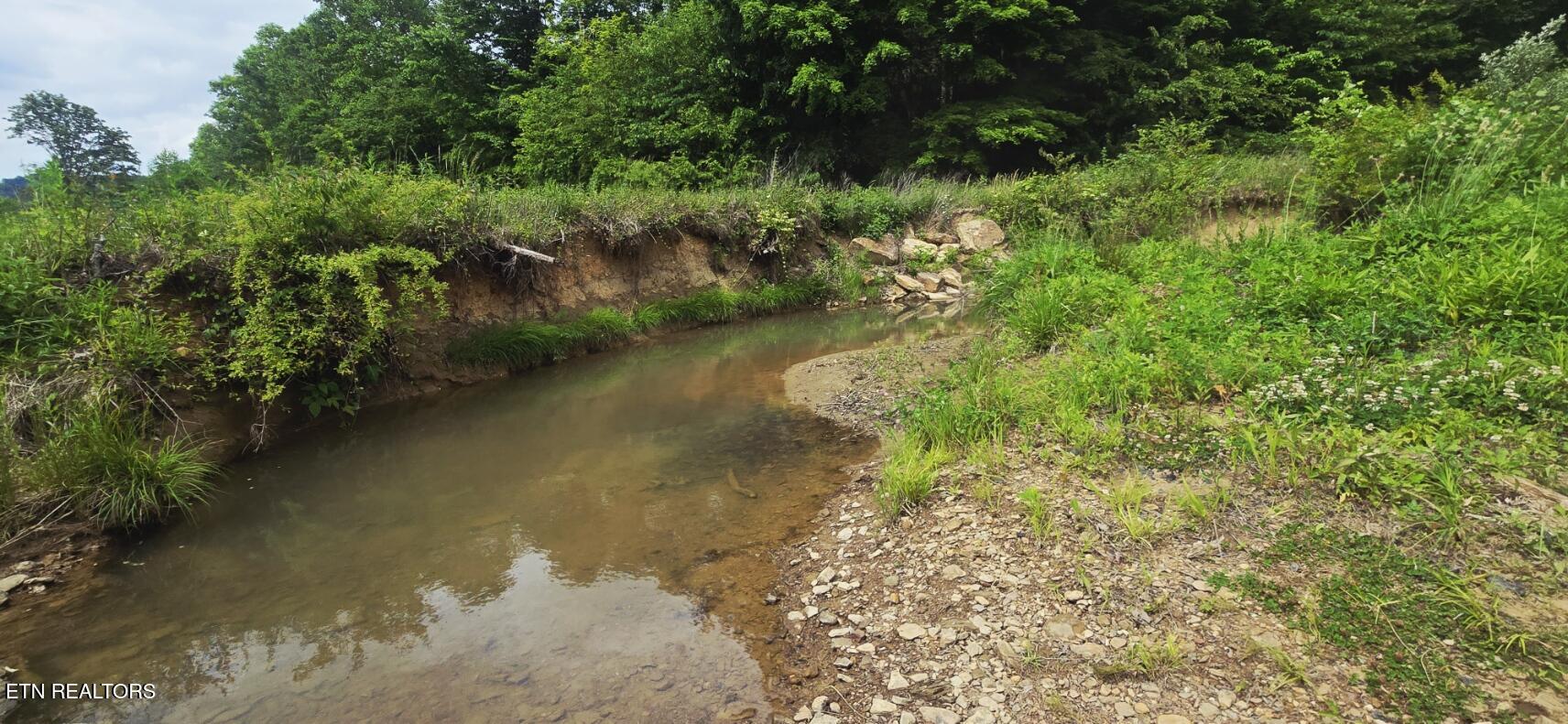 1095 Stanley Creek Road Oneida TN 37841