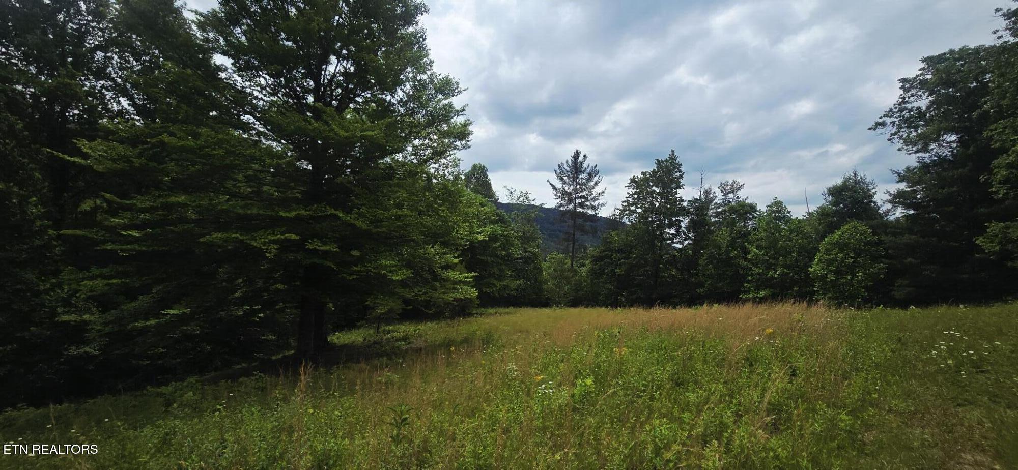 1095 Stanley Creek Road Oneida TN 37841
